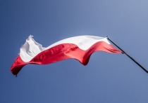 У властей Польши сейчас нет законодательного инструмента для того, чтобы конфисковать активы «Газпрома», которые находятся на территории республики, о чем заявил пресс-секретарь правительства Польши Петр Мюллер