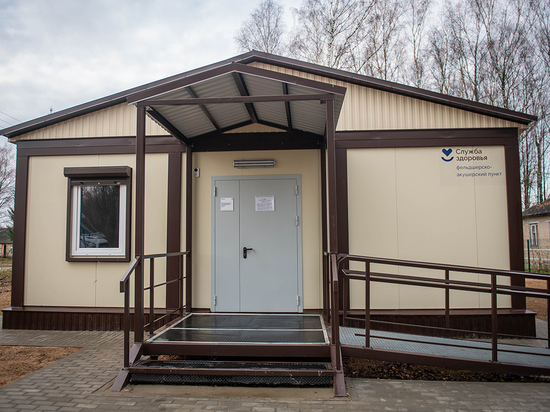 Почти четыреста пациентов за год принял ФАП в Починковском районе