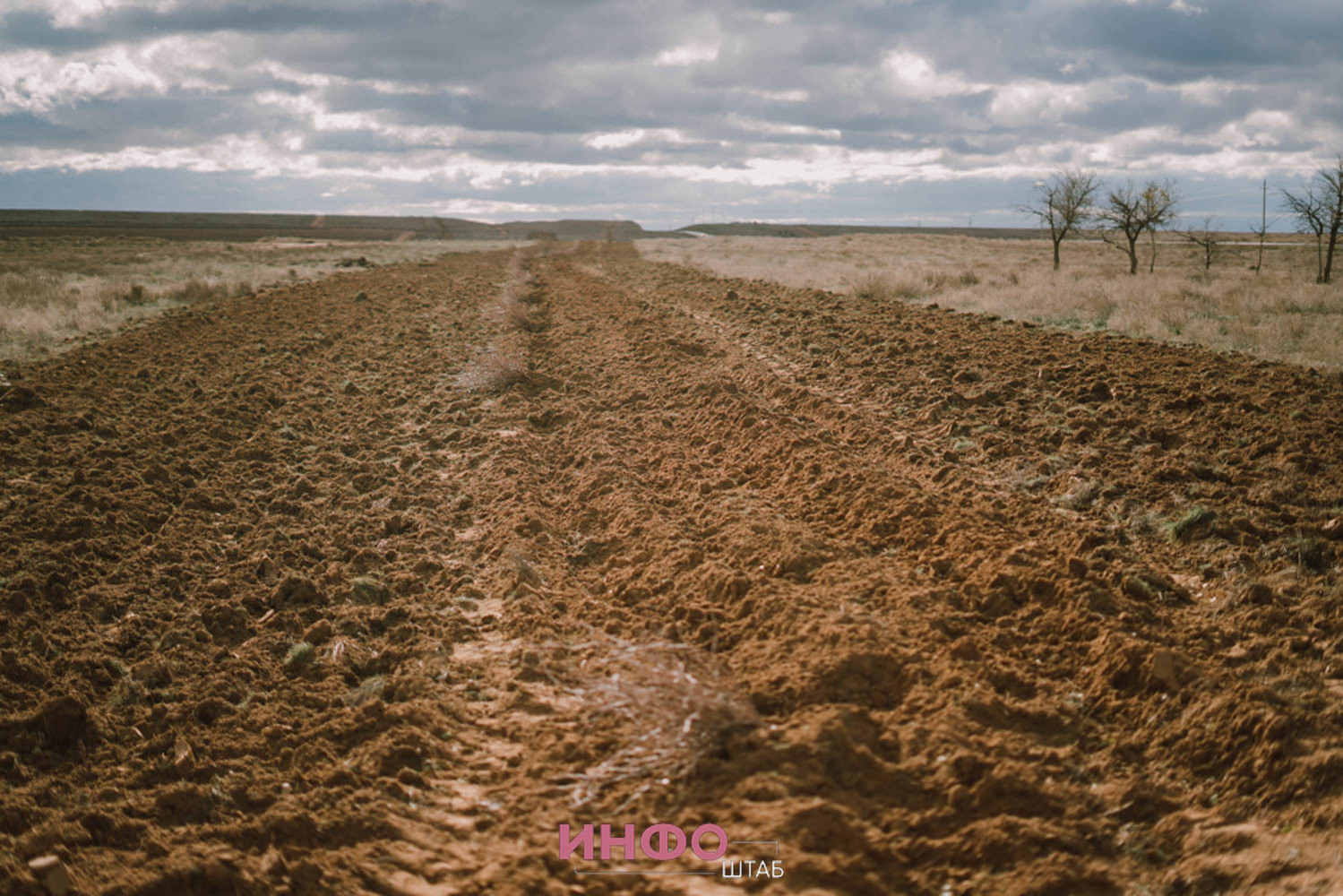 Как в Астраханской области пытаются бороться с опустыниванием: кадры из степи 