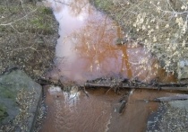 Река Грачевка в Новых Химках поменяла цвет и окрасилась в оранжево-бурый оттенок