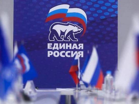 Региональные отделения «Единой России» в Томске подведут итоги работы за год на партийной конференции