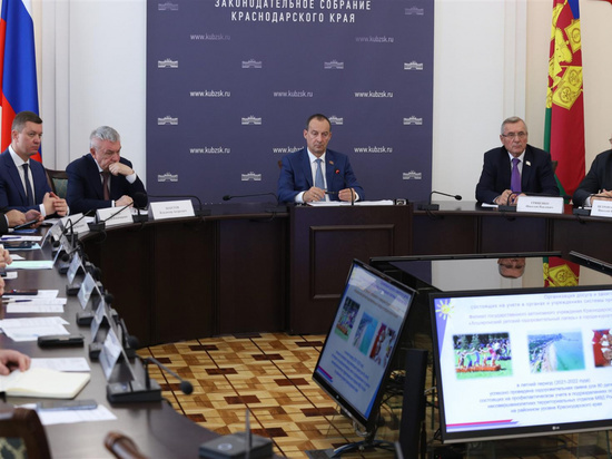 На Кубани депутаты обсудили меры по профилактике безнадзорности и правонарушений несовершеннолетних