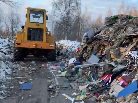 За свалку в подмосковном Коноплино ответит гендиректор компании-владельца участка