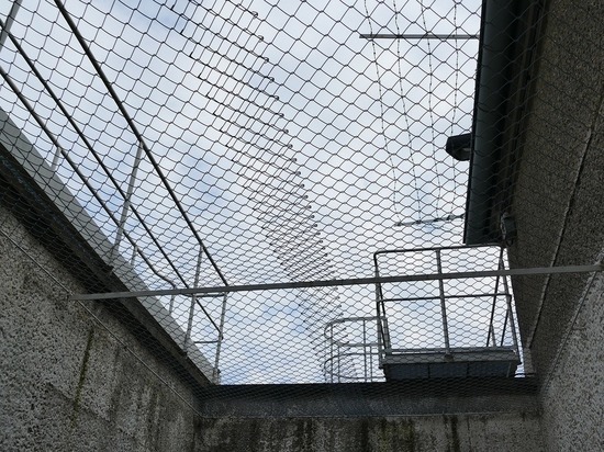 Глава миссии ООН: российских военных на Украине пытали током