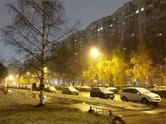 На уборку Петербурга от снега выпустили 600 машин и 800 дворников