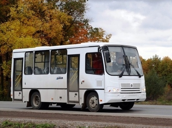 Три автобусных маршрута изменятся в Петрозаводске