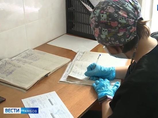 В Тамбовской области выявлен свиной грипп