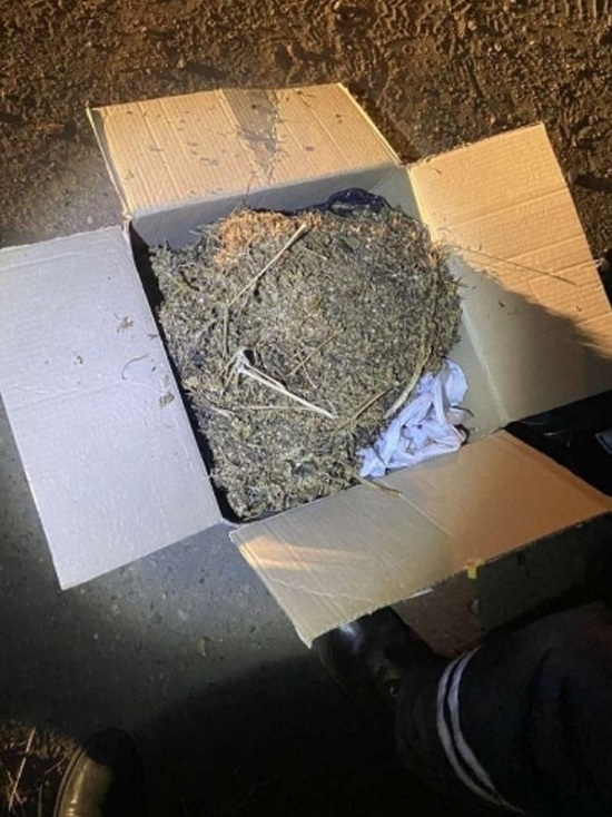 В такси Бурятии нашли около двух кг наркотиков