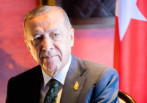 Президент Турции Реджеп Тайип Эрдоган заявил о намерении переговорить с российским коллегой Владимиром Путиным после возвращения с саммита "большой двадцатки" (G20)