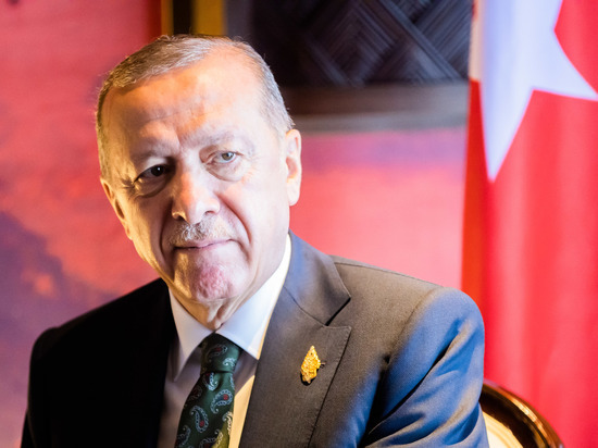 Эрдоган запланировал переговорить с Путиным после возвращения с G20