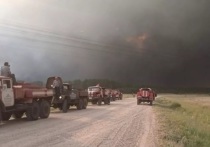 В этом году в Алтайском крае ликвидировали 697 лесных пожаров
