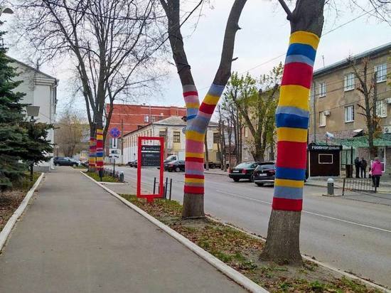 Необычные деревья на улицах Челябинска