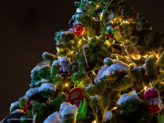Каждая пятая компания в Петрозаводске не будет отмечать Новый год