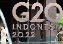 Российскую делегацию в аэропорту индонезийского острова Бали на саммите «Большой двадцатки» (G20) встретили обновленной картой Российской Федерации, сообщает Sputnik Ближнее зарубежье