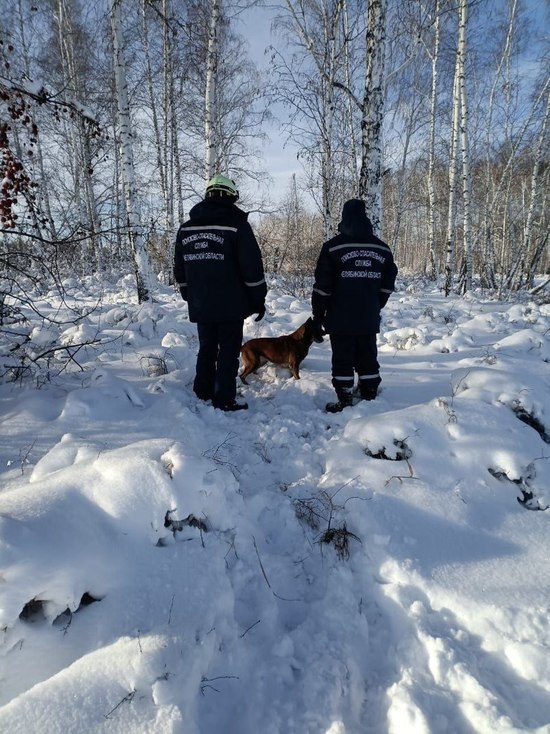 Мужчина насмерть замерз по дороге в Челябинск