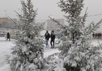 В пятницу в Москве усилятся снегопады, ожидаются морозы и метель