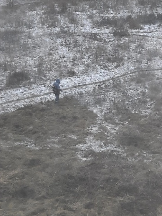 Псковские коммунальщики решили скосить траву во время снега