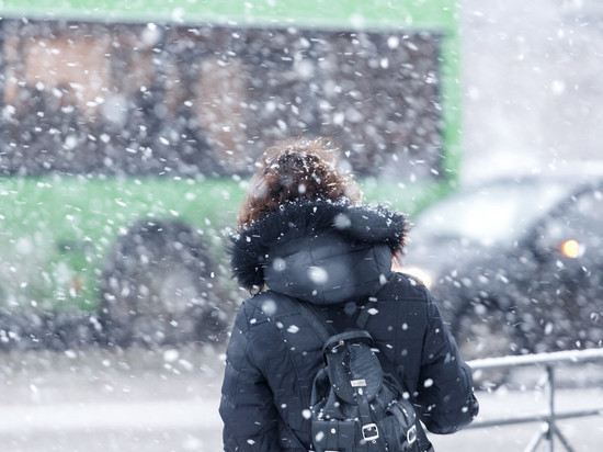 Мокрый снег прогнозируют псковские синоптики 17 ноября