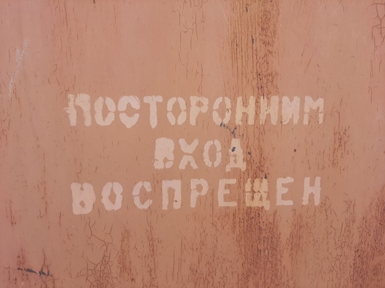 В Базарном Карабулаке сотрудницу райадминистрации осудили за мошенничество