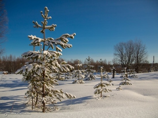 Поселок Карелии вошел в список популярных направлений для отдыха зимой