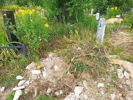 На 7 кладбищах в Орле скопилось 10 тысяч кубов застарелого мусора