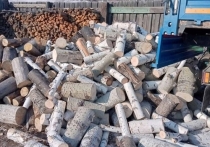 При потребности в 200 тыс кубометров отведенного под заготовку древесины для личных нужд жителей Забайкалья (в том числе семей мобилизованных) лесосечного фонда в крае имеется около миллиона кубометров