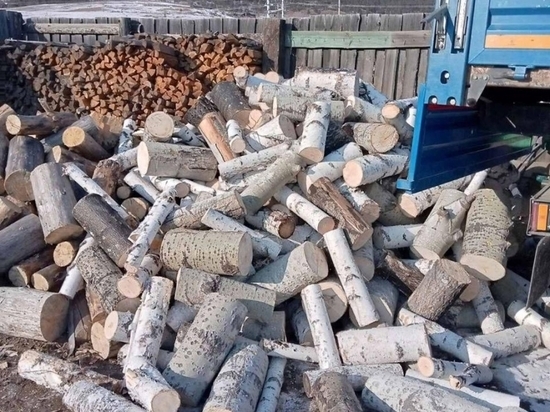 При потребности в 200 тыс кубометров лесосек в Забайкалье есть почти 1 млн