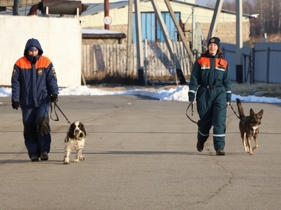 Поиски пропавшего жителя Хабаровского края в районе Лазо приостановлены