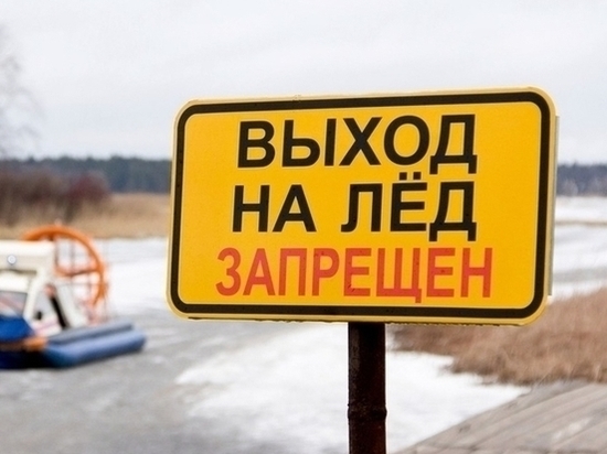 Ярославские спасатели просят не ходить по тонкому льду