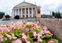 Почему такие промышленные города России, как Челябинск, стали делать ставку на аграрные подходы и что из этого выходит