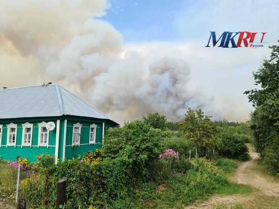 По факту лесных пожаров в Рязанской области завели дело о халатности