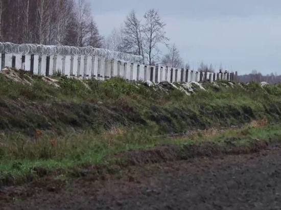 ВСУ начали строить забор на границе с Белоруссией