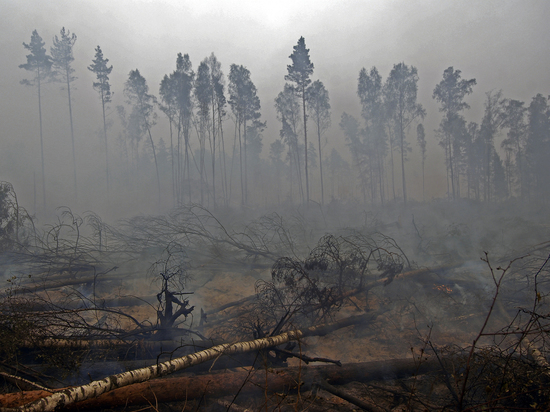 Лесных пожарных начнут страховать за счет бюджета Подмосковья