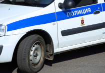 В Красном Селе на юге Петербурга полицейские выстрелами ранили алабая, покусавшего семь человек