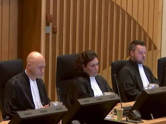 Гаагский суд признал Гиркина, Дубинского и Харченко виновными в уничтожении самолета MH17
