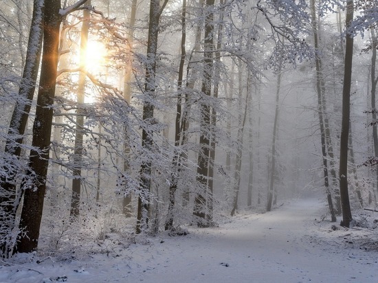Белгородские синоптики прогнозируют снежную пятницу