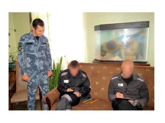 В Касимовском районе Рязанской области откроют исправительный центр для заключённых