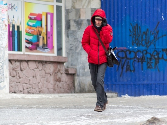 До -18 градусов похолодает в Новосибирской области 18 ноября