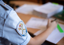 Сотрудники полиции начали проверку по факту укуса 5-летней девочки за лицо в Борзе