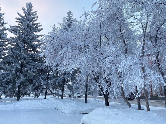 Мороз до -20 градусов накроет Алтайский край 19 ноября
