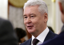 Экономика Москвы стабилизировалась в результате пандемии коронавируса и кризисов, критического обрушения не случилось, рассказал в беседе с РИА Новости мэр Москвы Сергей Собянин