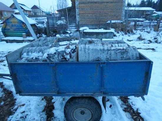 На Колпашевского лесоруба завели уголовное дело из-за восьми осин