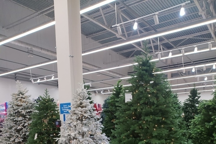В Новосибирске продают искусственные елки за 499 тысяч рублей - МК .