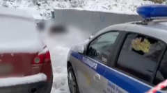 Прокуратура показала видео с места убийства женщины на Севастопольском проспекте