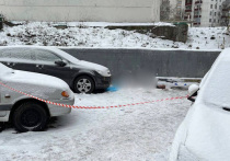 Отвергнутый поклонник мог расправиться с женщиной, тело которой обнаружили сегодня утром на Севастопольском проспекте