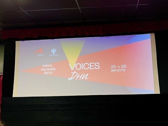 Вологодский кинофестиваль «Voices» будет поддержан Министерством культуры РФ
