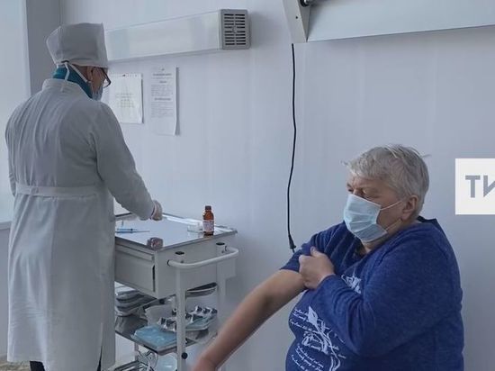 На Татарстан надвигается свиной грипп