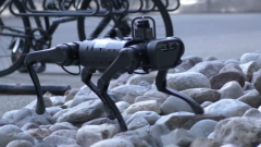 Ученые сделали робота-пса в 25 раз дешевле, чем у Boston Dynamics: видео 