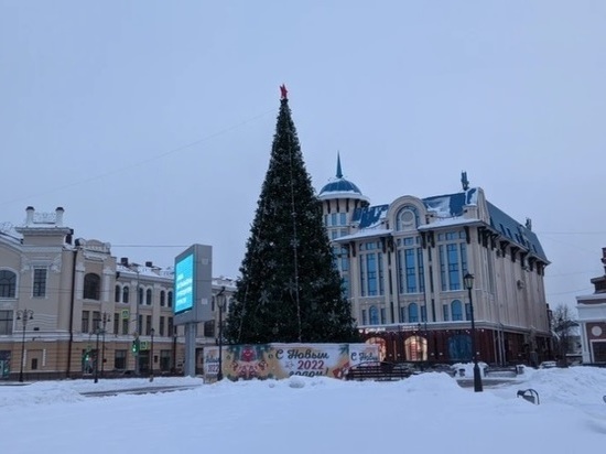 В Томске на Новособорной площади установят 24-метрвую новогоднюю ель