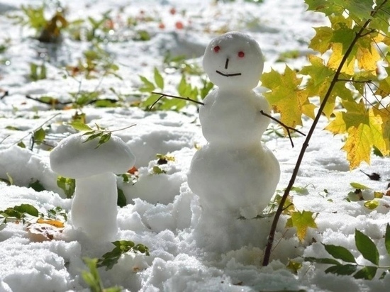 Раменцы встретили зиму флешмобом по лепке снеговиков